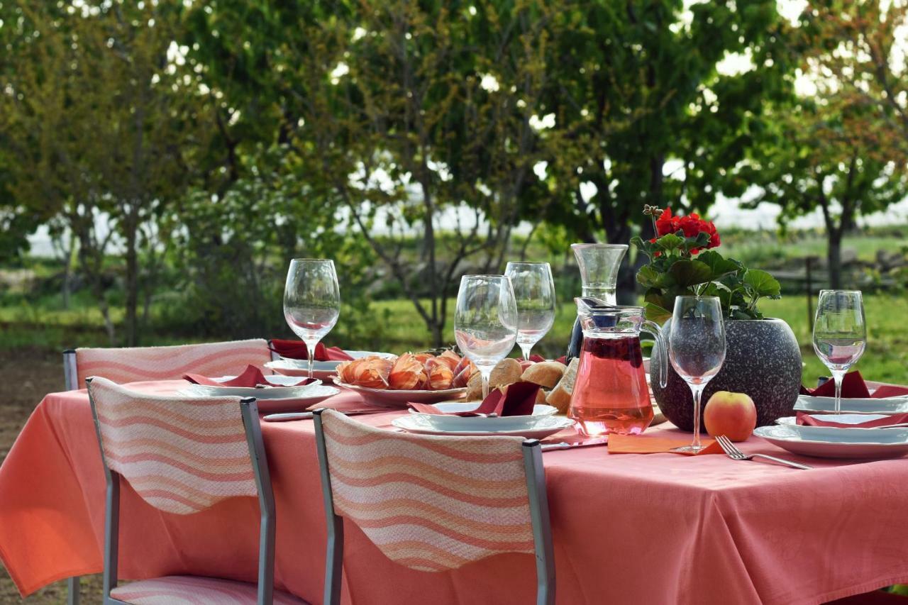 Easyliving House Near Zadar Βίλα Posedarje Εξωτερικό φωτογραφία